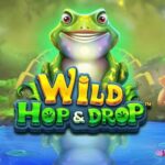 ワイルド・ホップ・アンド・ドロップ（Wild Hop and Drop）