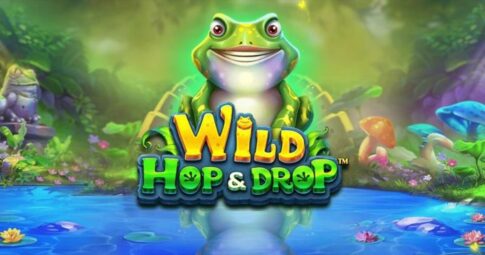 ワイルド・ホップ・アンド・ドロップ（Wild Hop and Drop）